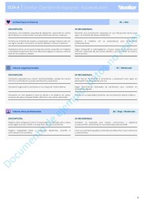 Ejemplo steelter_Página_3